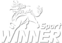 鑫寶 Winner 體育遊戲品牌標誌